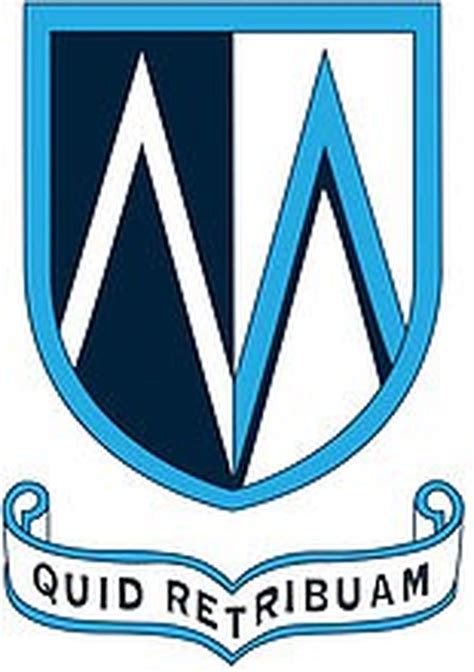 MSMs